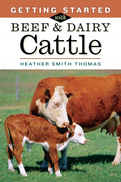 Getting started with beef & dairy cattle / Heather Smith Thomas ; illustrations by James Robins.