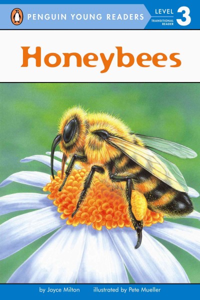Honeybees.