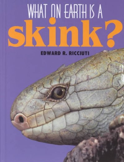 WHAT ON EARTH IS A SKINK?.