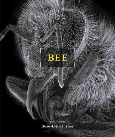 Bee / photographs by Rose-Lynn Fisher ; foreword by Verlyn Klinkenborg.