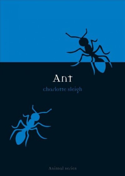 Ant / Charlotte Sleigh.