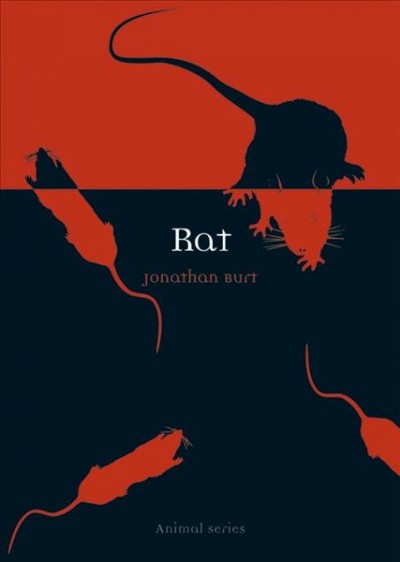 Rat / Jonathan Burt.