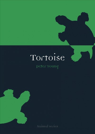 Tortoise / Peter Young.