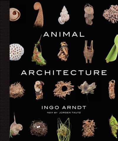 Animal architecture / Ingo Arndt ; text by Prof. Dr. Jurgen Tautz ; foreword Jim Brandenburg ; translated from the German by Mary Harris and Henning Grentz.
