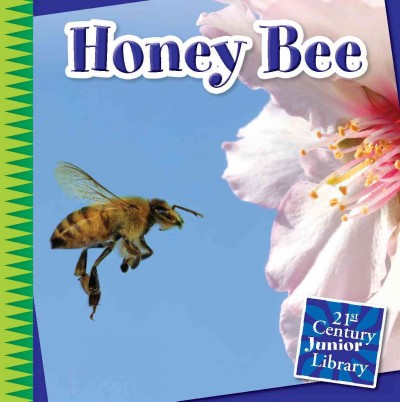 Honey Bee / by Katie Marsico.