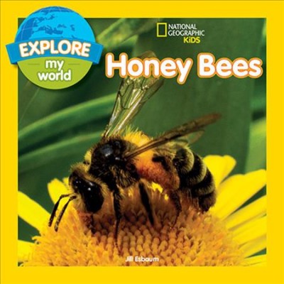 Honey Bees / Jill Esbaum.