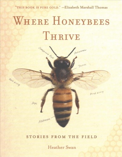 Where honeybees thrive : stories from the field/ Heather Swan.