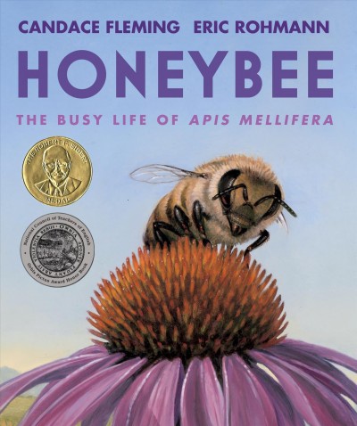 Honeybee / Candace Fleming ; Eric Rohmann.
