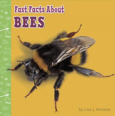 Fast facts about bees / by Lisa J. Amstutz.