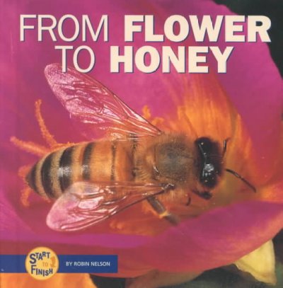 From honey to flower.